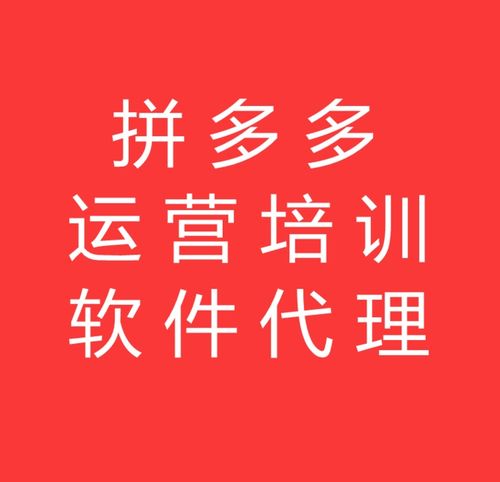 拼多多無貨源電商新機(jī)遇 山東大象拼上拼軟件加盟全攻略